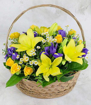 Яркие краски