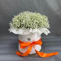 Букет_Белая гипсофила в коробке