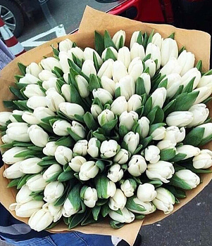 Нежный рассвет