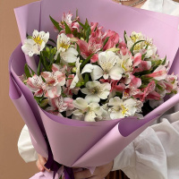 13 альстромерий