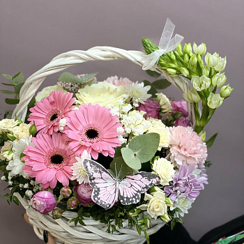 Розовая гербера в корзине