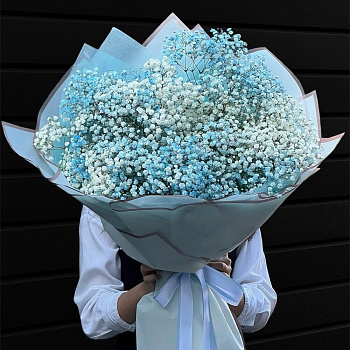 51 голубой гипсофилы