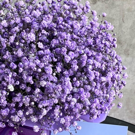 Букет_Фиолетовые гипсофилы в коробке