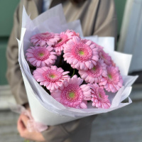 Букет_Гербера розовая 19 шт