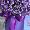 Букет_Фиолетовые гипсофилы в коробке