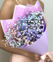 Гипсофила цветная