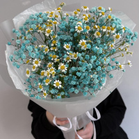 Голубая гипсофила и кустовая ромашка