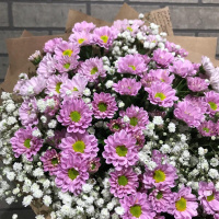 Букет_Сантини с белой гвоздикой