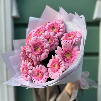 Гербера розовая 19 шт