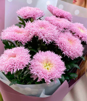 Розовый шар